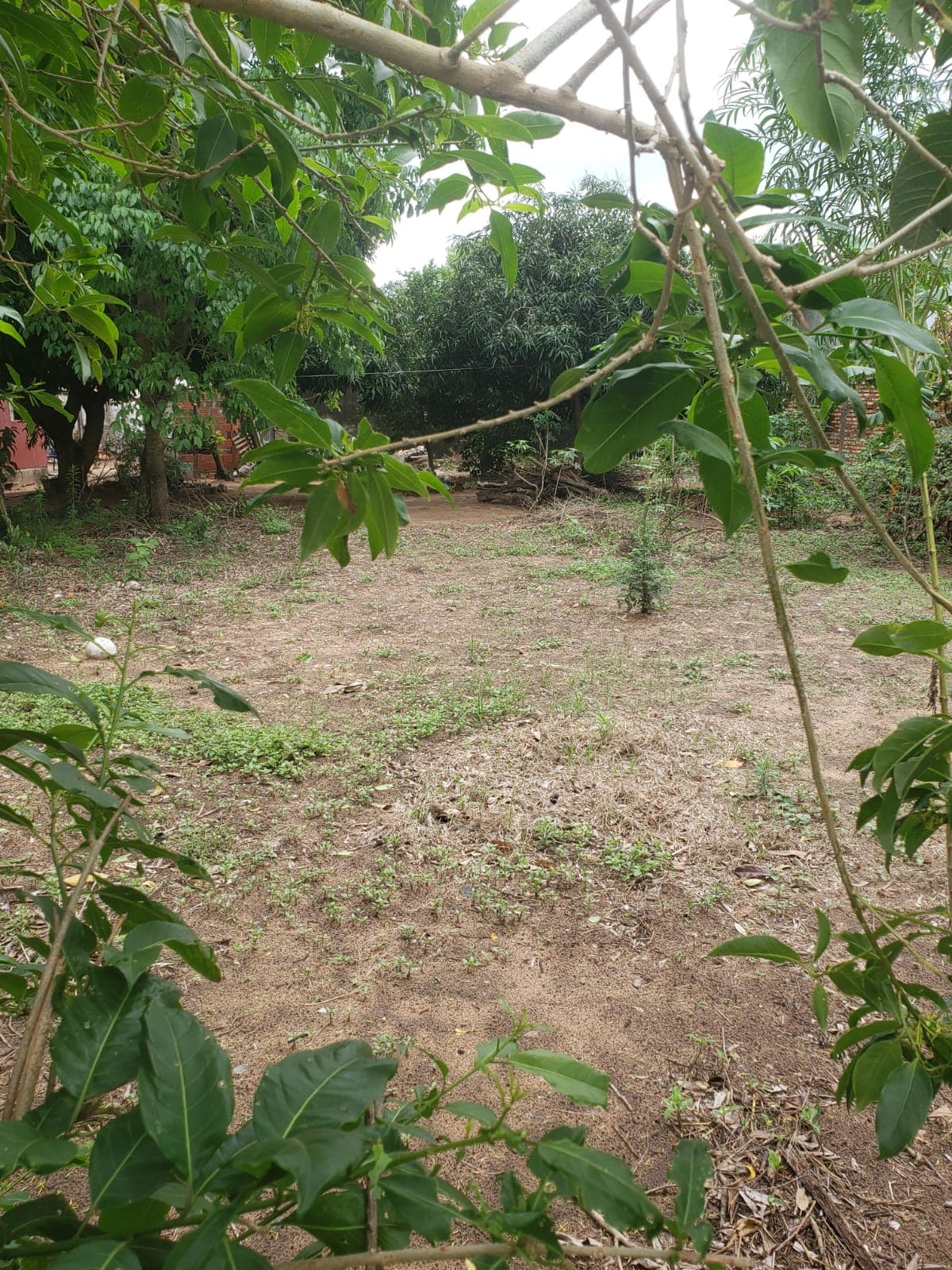 Terreno en capiata, foto 4