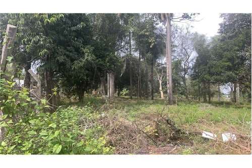 Terreno-Venta-1ro de marzo, acceso sur, Mbokajaty, Ñemby, Central — foto 1
