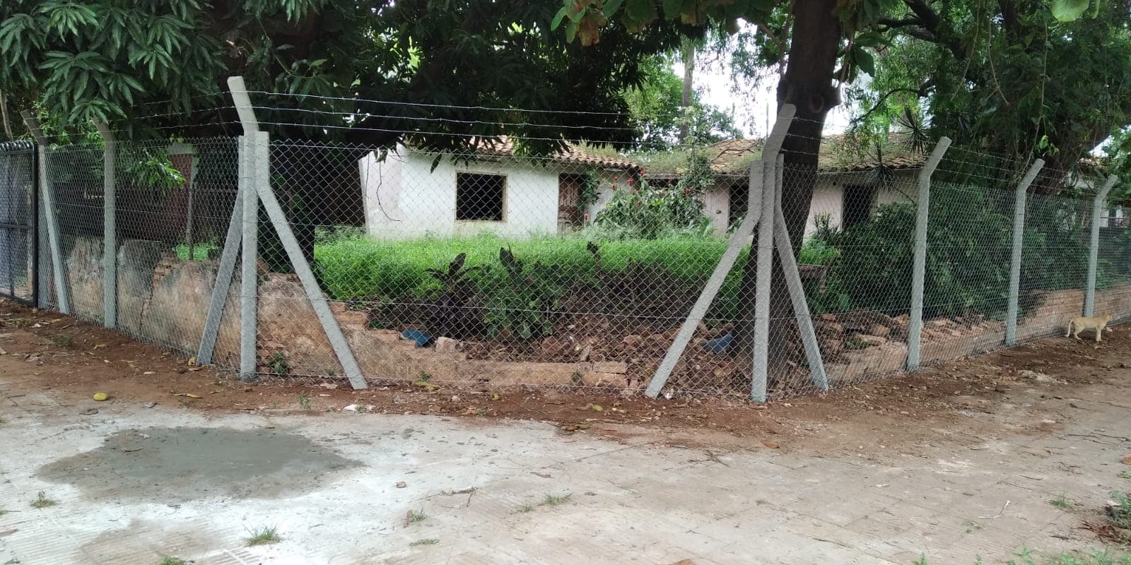 Se vende terreno en esquina – villa aurelia. Genial para inversión, foto 3