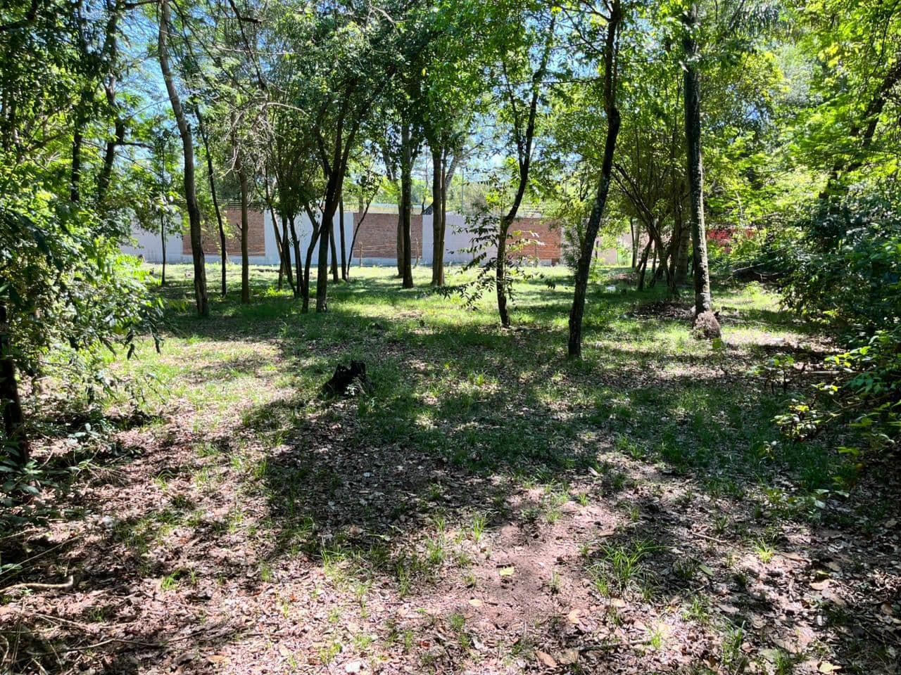 Terreno en venta | San Bernardino – barrio colón, foto 4