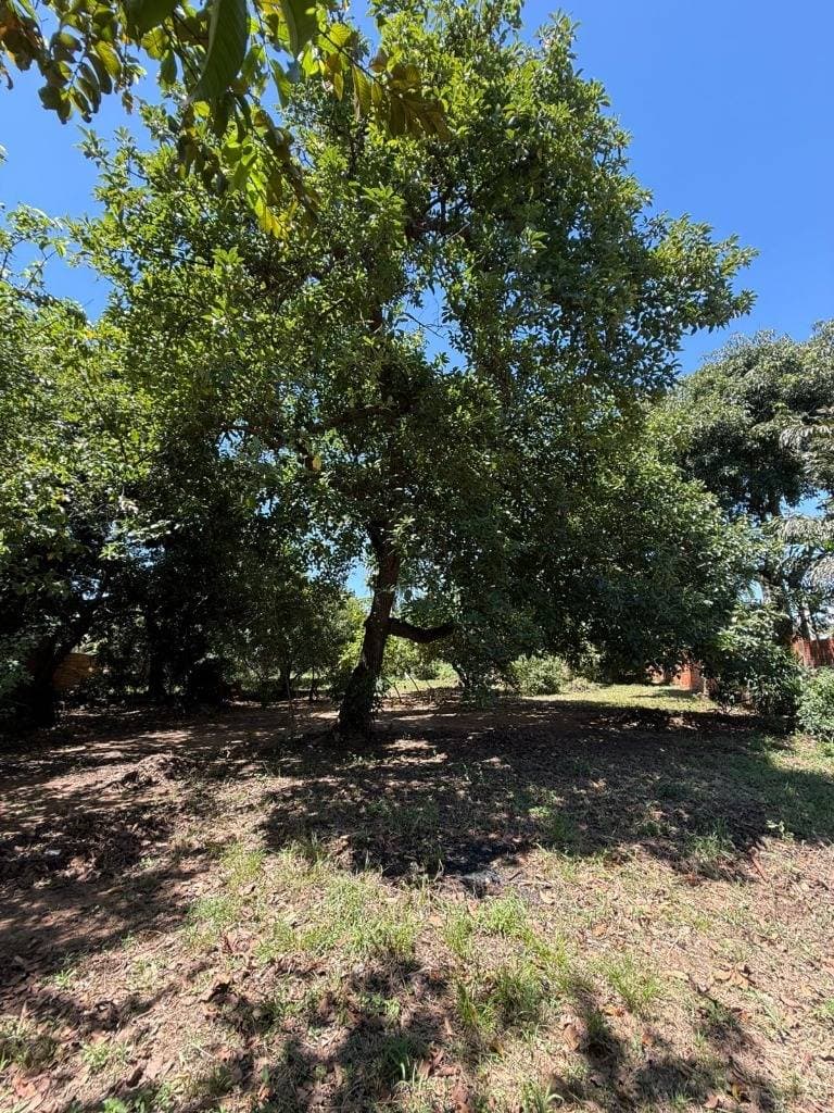 Terreno en venta - zeballos cue, asuncion, foto 4