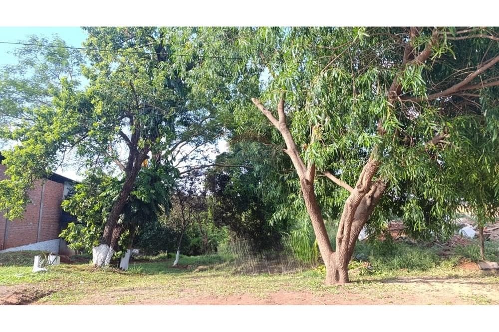 Vendo terreno en San Lorenzo barcequillo