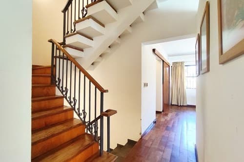 Cacique kara Kara, Villa Ofelia, Fernando de la Mora, Central — foto 5
