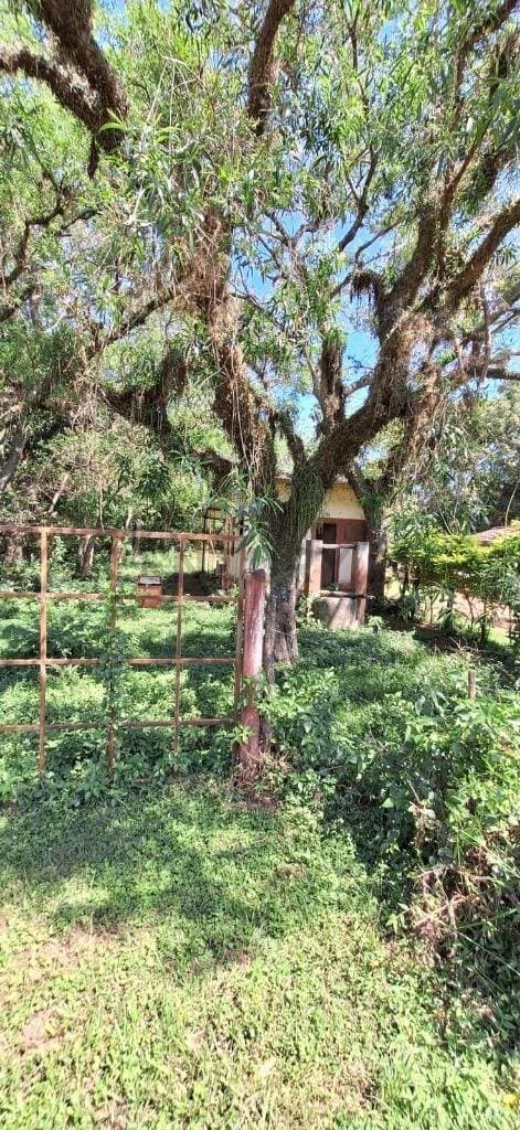 Propiedad a la venta en la ciudad de yaguaron a 1.000 mts de la ruta 1, con casa, foto 5