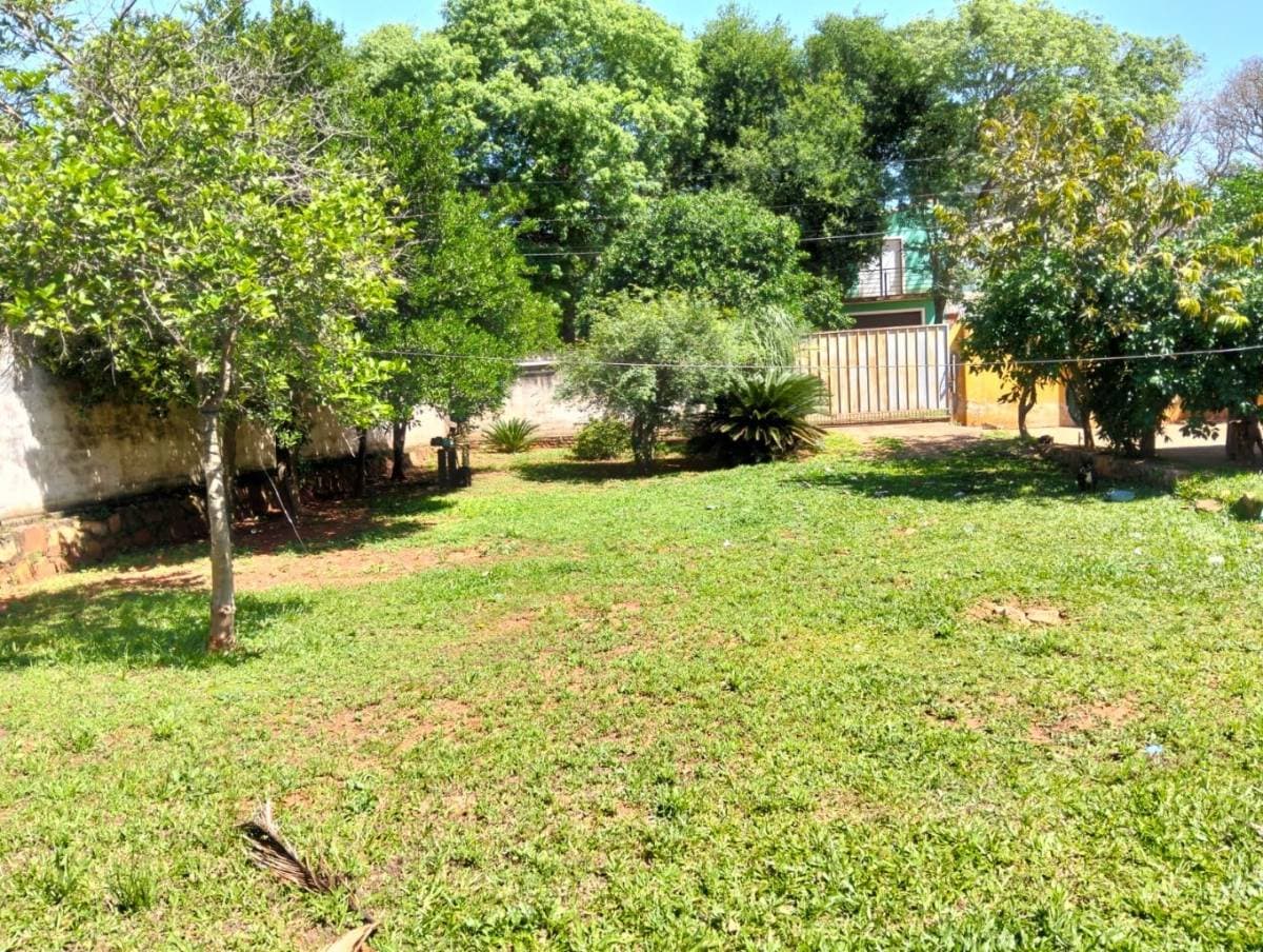Terreno en Luque, foto 2