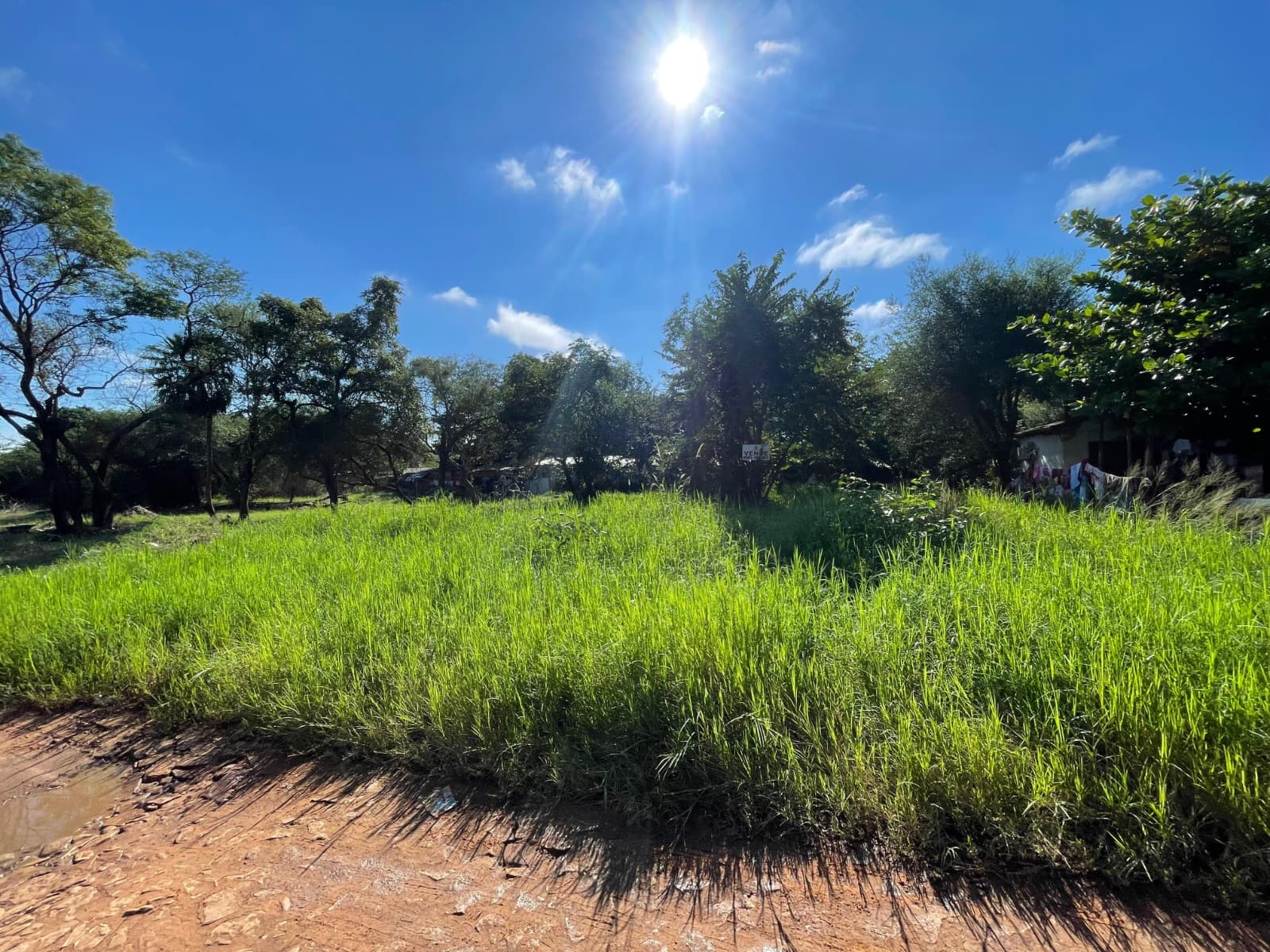 Terreno en isla aveiro - limpio, foto 2