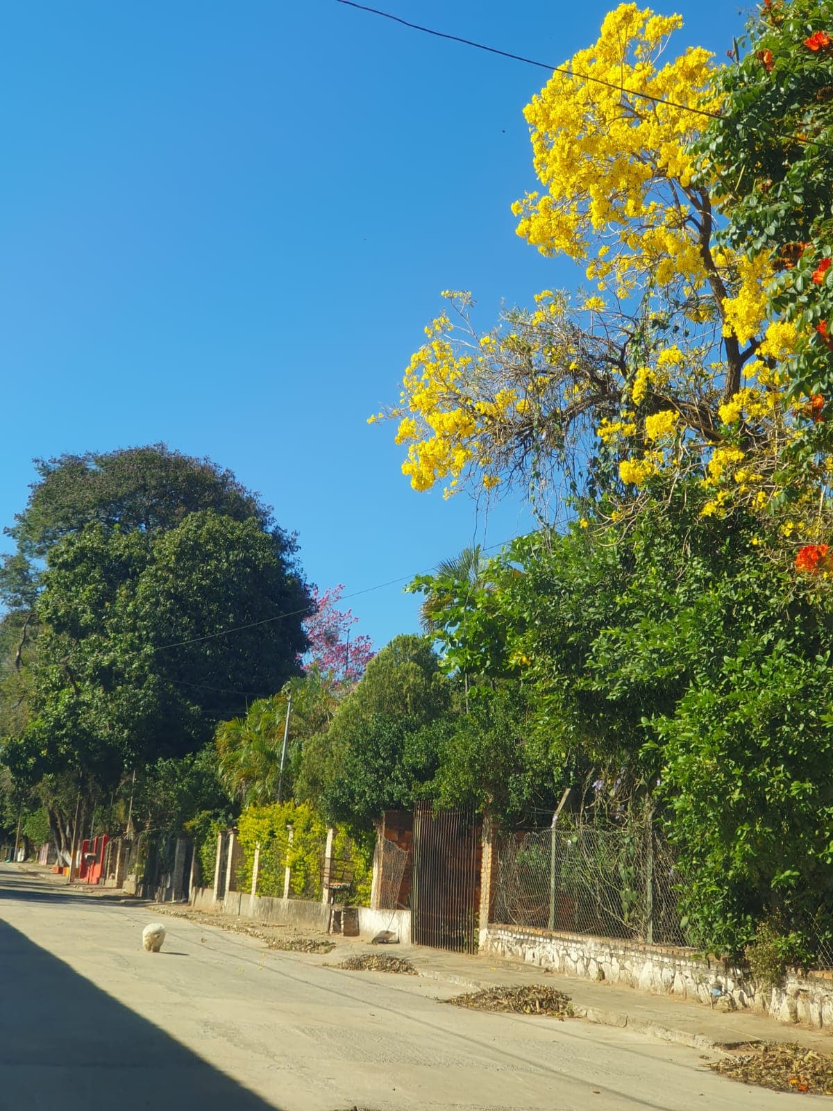 - Terreno - Paraguay - Central - San Antonio, foto 1