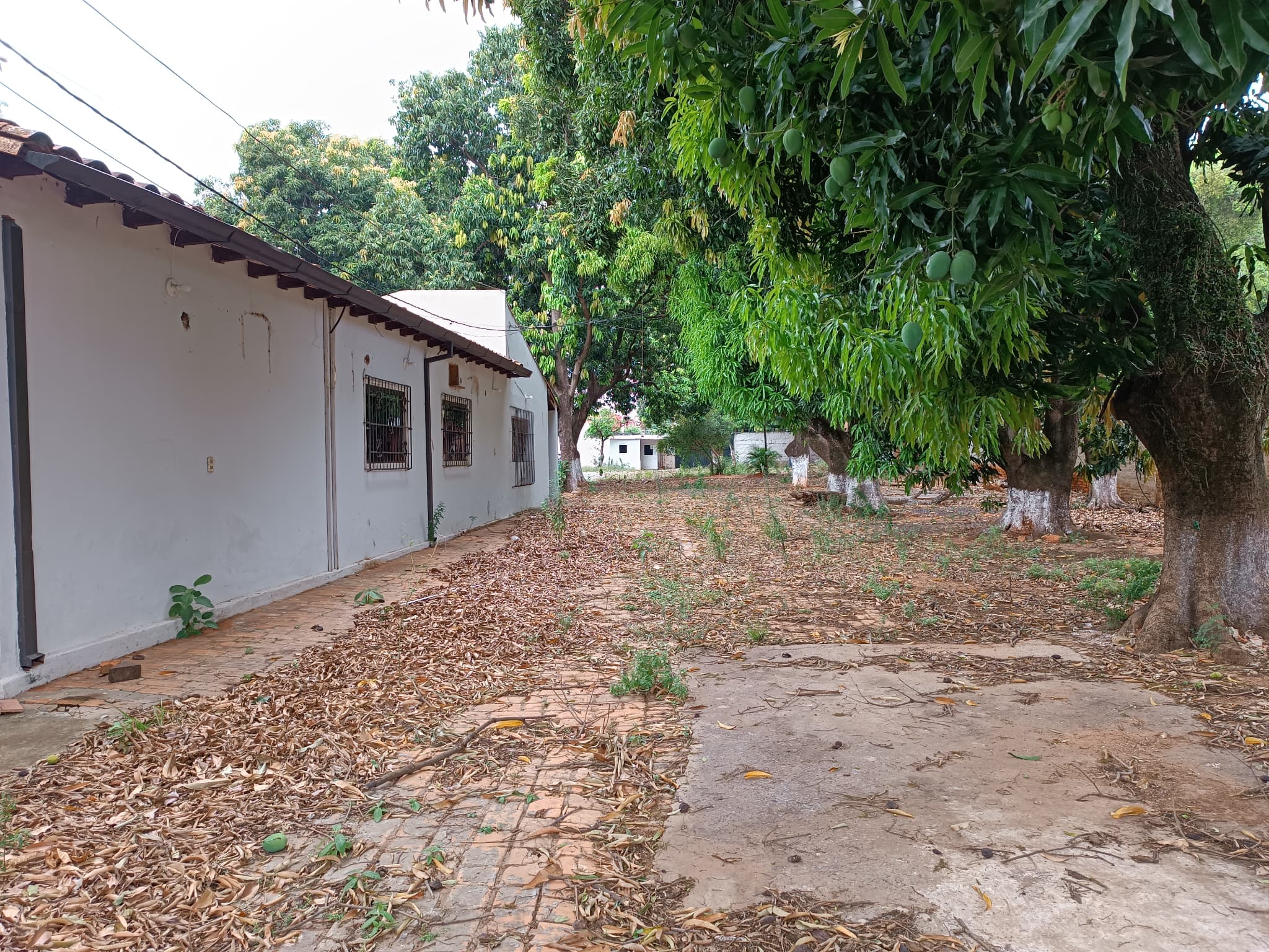 Gran terreno sobre av. Zavalas cue — foto 4