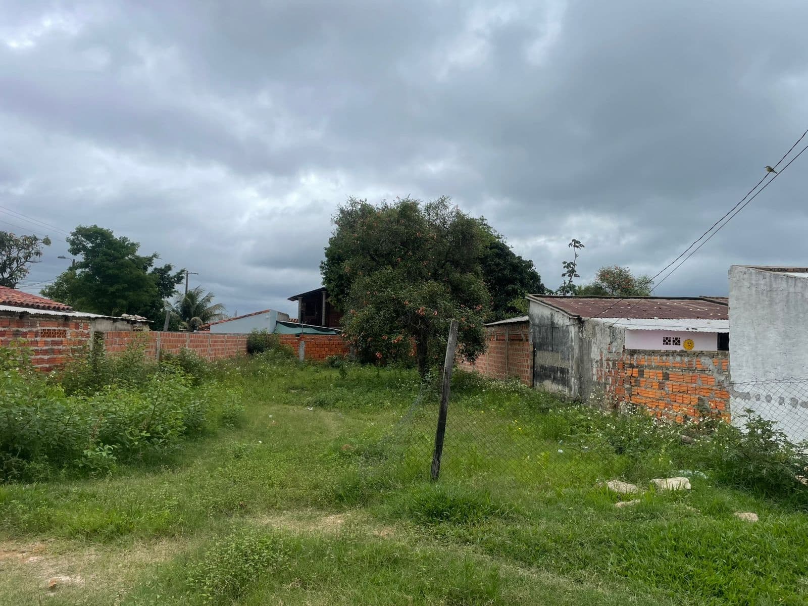 Terreno - Venta - Limpio, foto 5