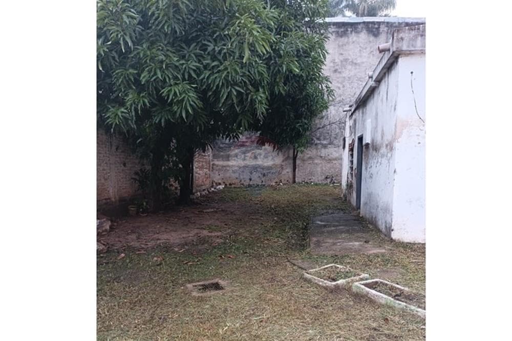terreno en Luque — foto 4