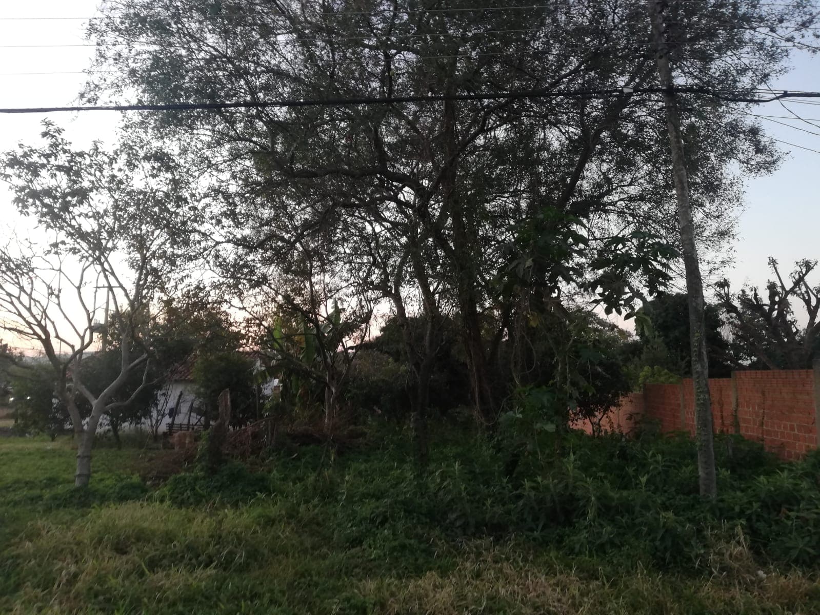 Se vende amplio terreno en piribebuy, foto 3