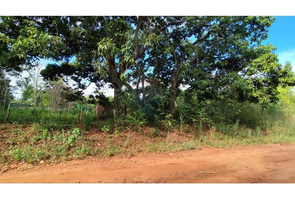 Terreno en Venta: Luque, foto 4