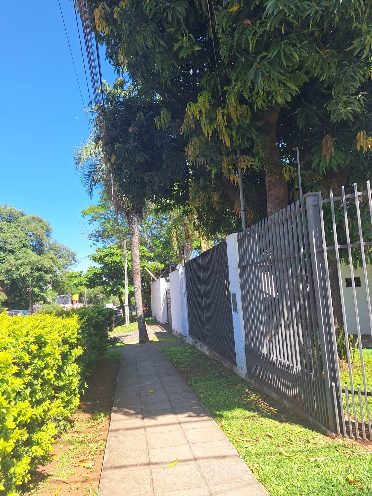 Esquina Exclusiva A 1 Cuadra De Avda. Santa Teresa — foto 4