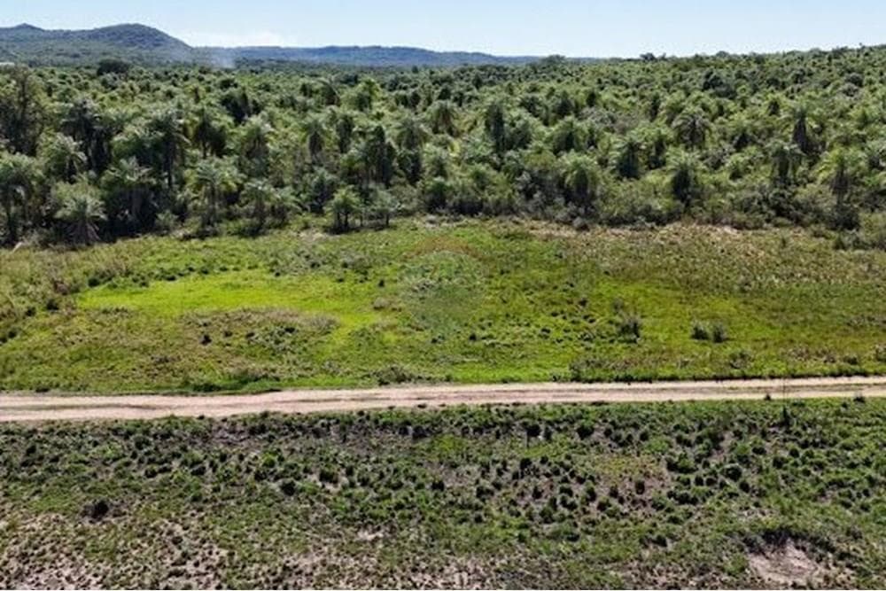 Atencion inversionistas en venta gran terreno en caacupe, foto 3