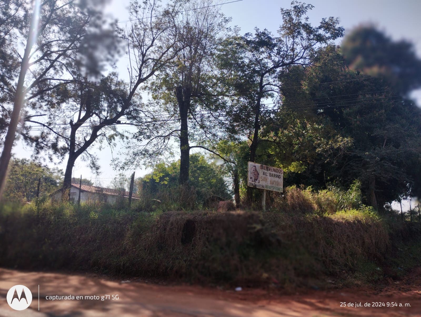 Terreno, foto 5