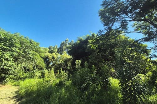 Terreno-Venta-Emilio Gabriaguez, Casco Urbano, Capiata, Central, foto 3