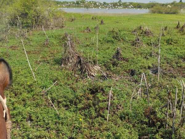Hermosa estancia de 900has en boquerón, foto 2