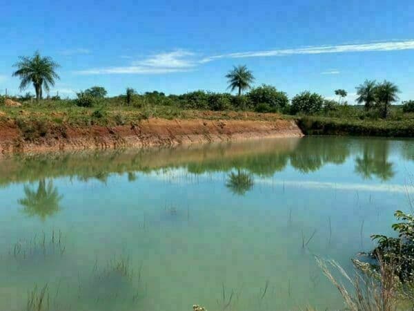 Campo De 90 Has.en Potrero Ybycui Departamento De Paraguari, foto 2
