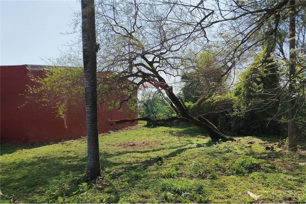 Terreno en venta en Villa Elisa a 2 cuadras de Von Polesky, foto 1