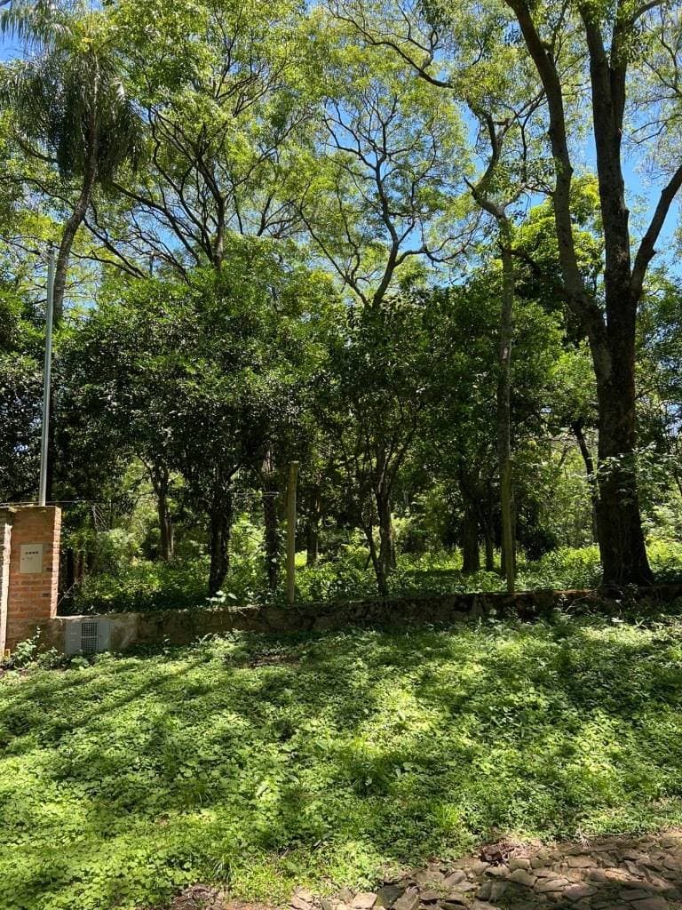Terreno en Venta San Bernardino, Barrio Cristóbal Colón, foto 3