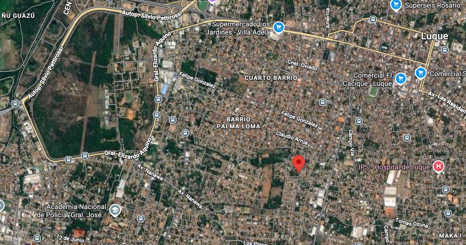 Amplia Casa Quinta de 9.362 m2 en Palma Loma, Luque - LHO7863635, foto 1