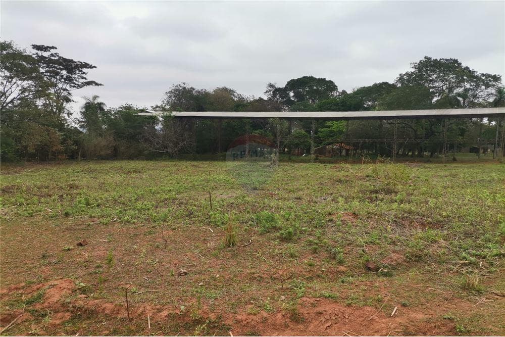 Terreno de 4 Hectáreas en oferta, foto 4
