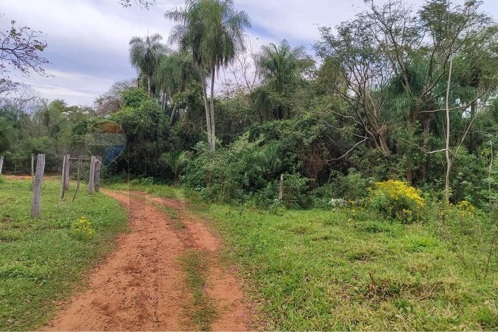 14 hectareas en yaguaron paraguari, foto 2
