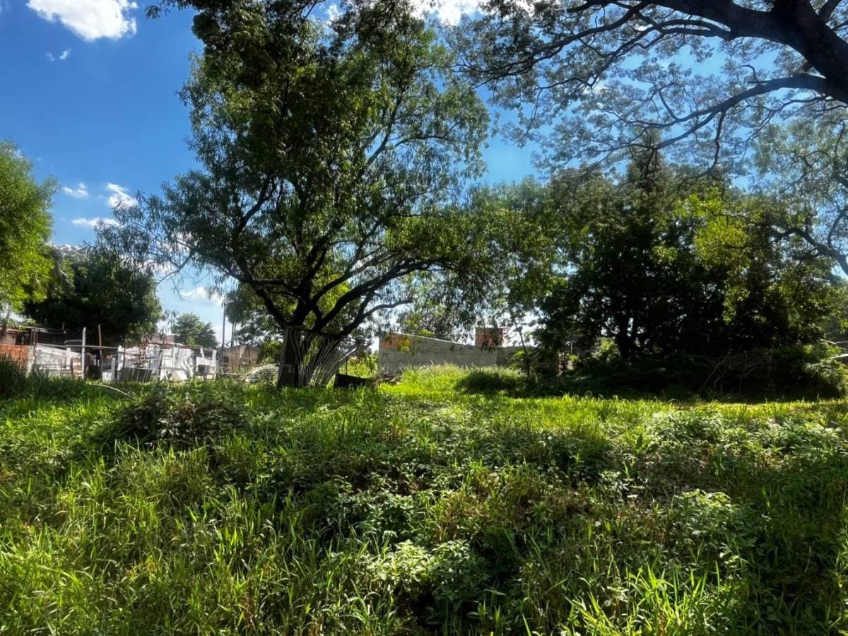 terreno en Pa’i Ñu – Ñemby a 2 cuadras de Moisés Bertoni, foto 4