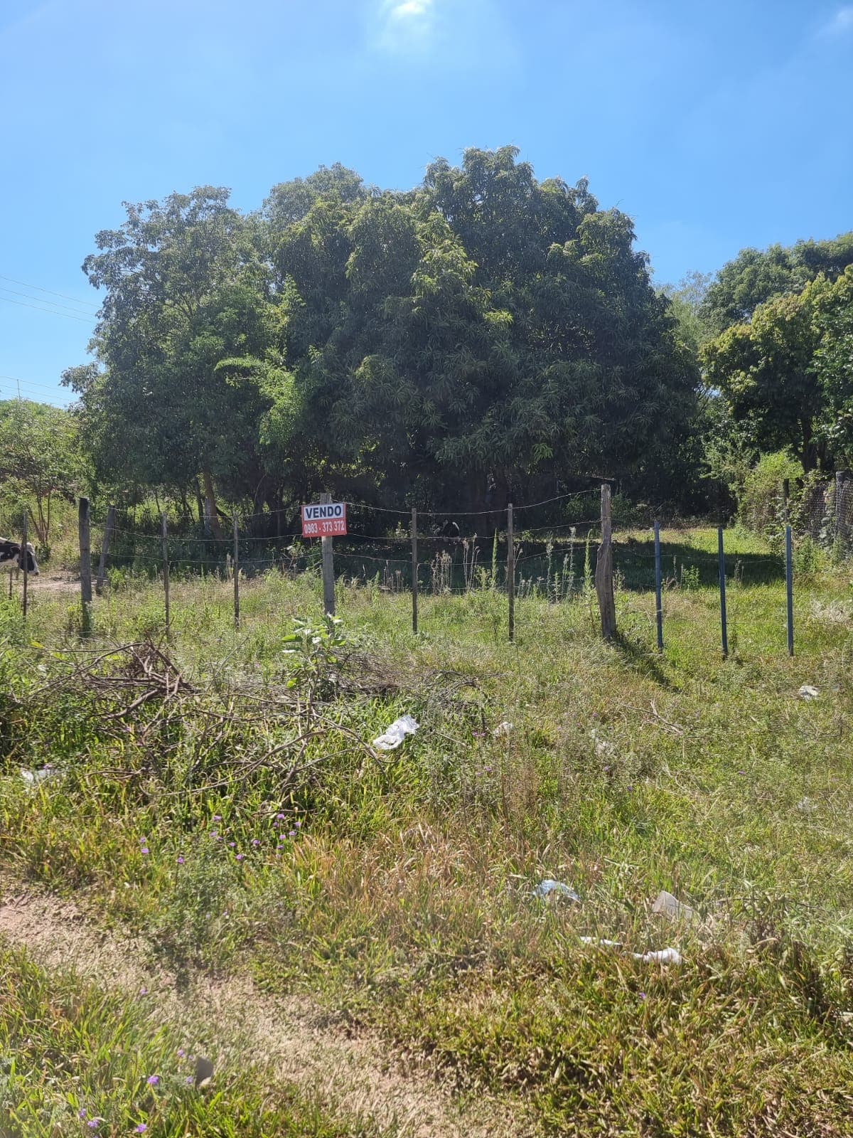 Terreno En Venta, Zona Isla Aranda De Limpio — foto 2