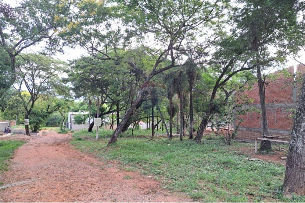 Terreno, foto 3
