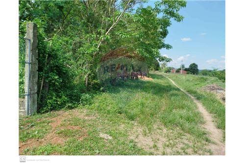 Terreno en venta, ypacarai, foto 4