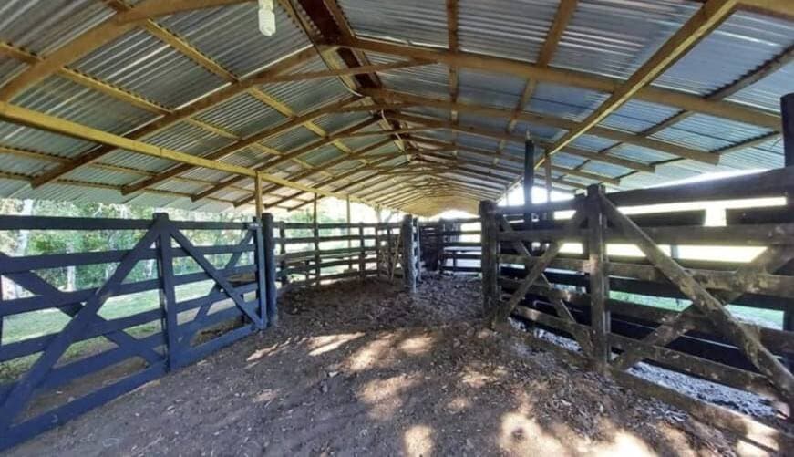 - Estancia 50 ha operativa con residencia de lujo - Puerto Trinidad, Itapú, foto 3