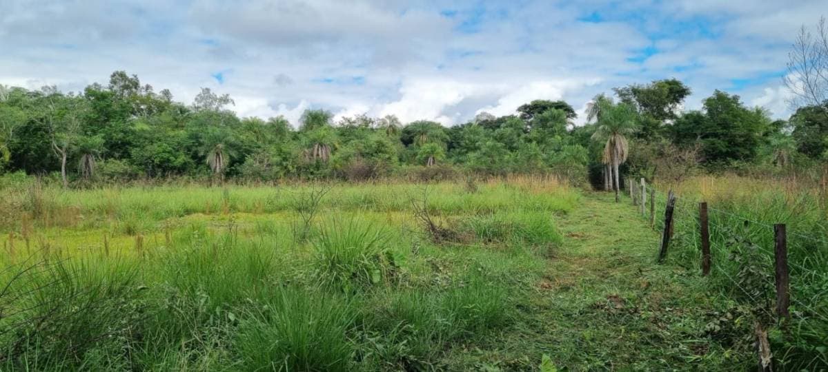 Terreno en San Bernardino ideal para desarrollo — foto 4