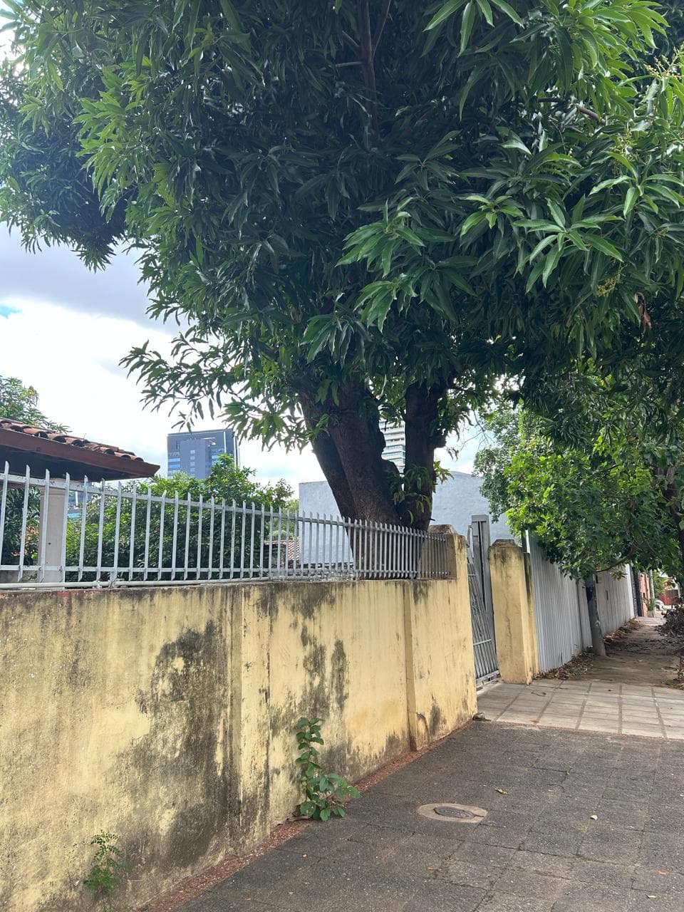 Terreno en ycua sati Asunción, foto 2
