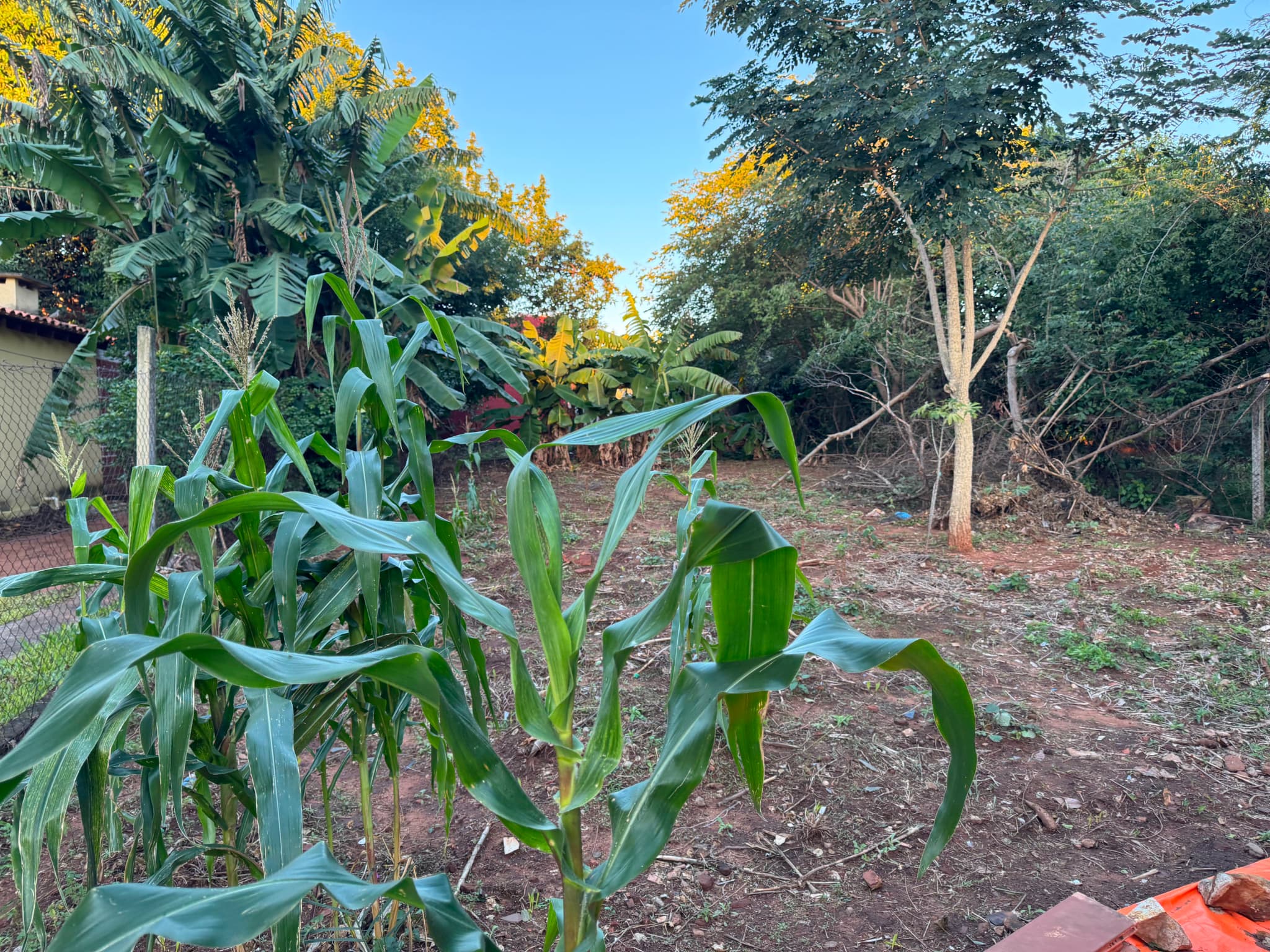 Terreno Titulado Con Opción A Construcción Vía Banco — foto 4