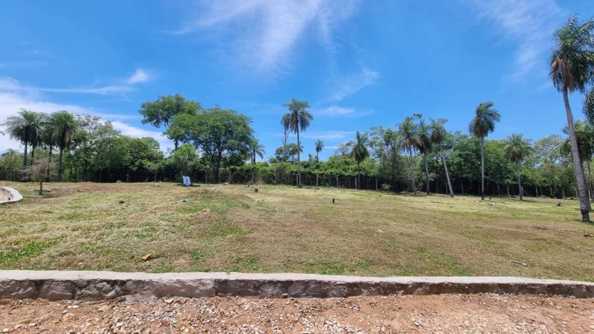 Dos terrenos en altos barrio alta pietra, foto 3