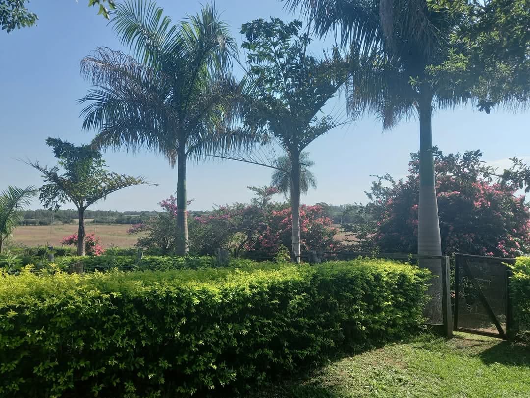 Casa Quinta En Caazapa, foto 5