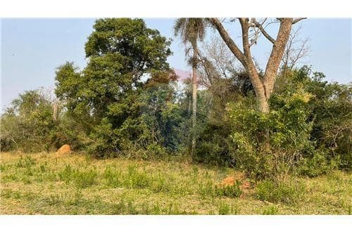 Terreno en venta, altos, foto 2