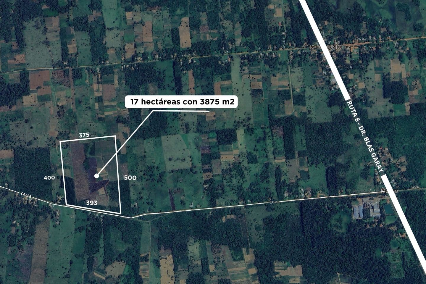 Terreno en venta - san pedro — foto 4