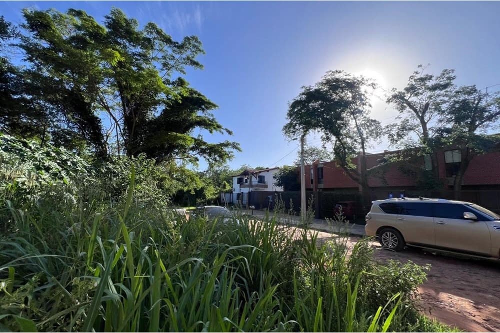 terreno en crecimiento - Luque, foto 3