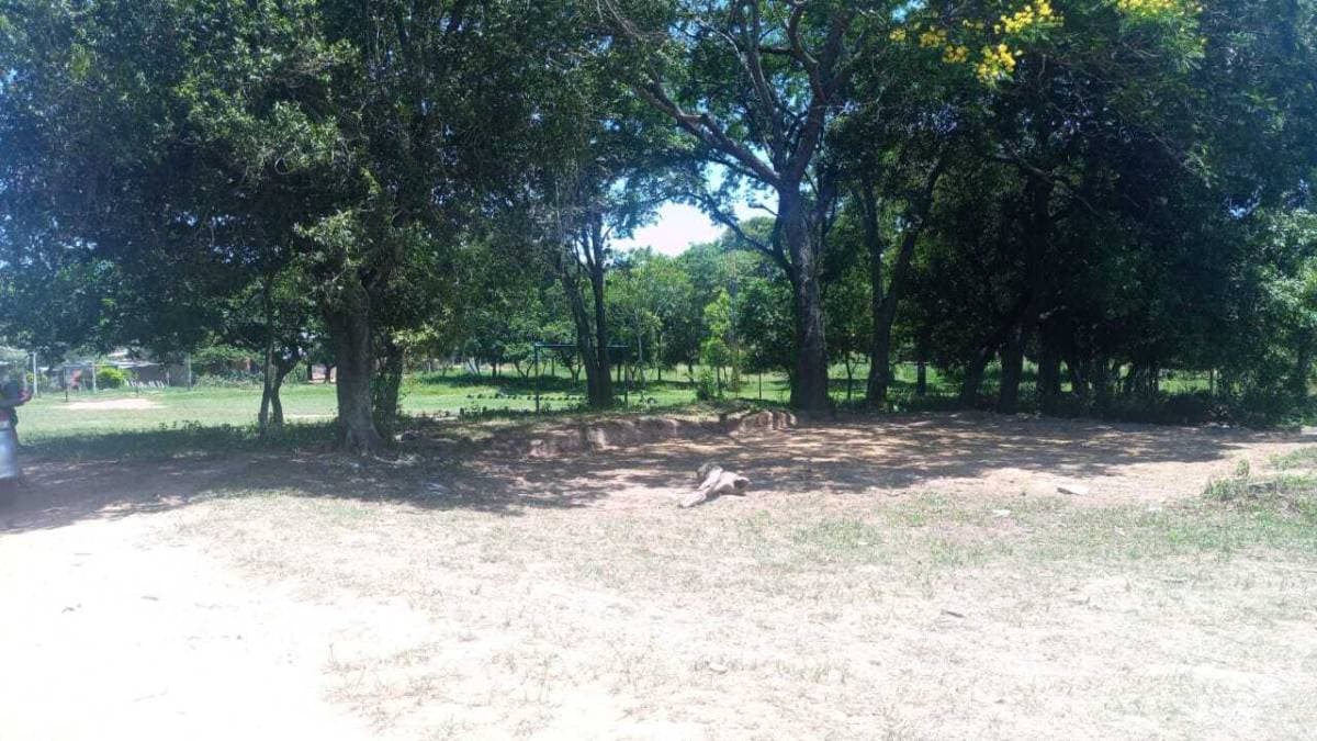 Terreno en Luque — foto 4
