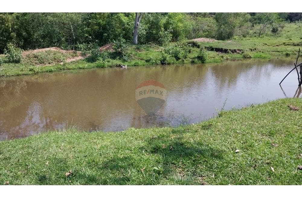 Estancia Ganadera de 72 HA en Isla Pucú - A 80km de Asunción, foto 3