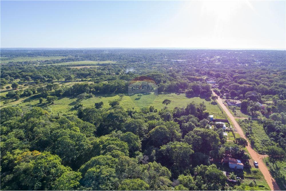 En Venta – Terreno De 3 Hectáreas En Luque — foto 2