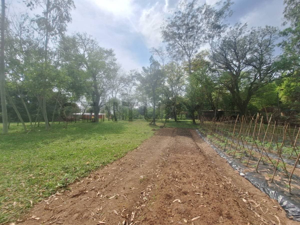 amplio terreno en Caacupe, foto 5