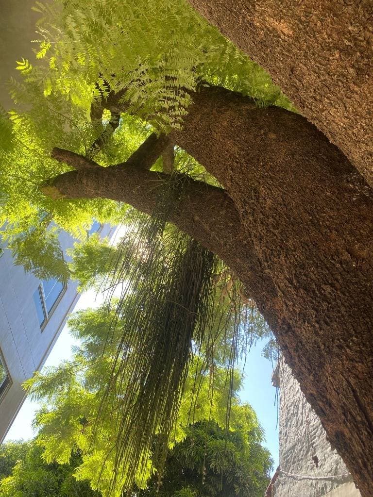 Departamento de 3 dormitorios a estrenar - villa aurelia — foto 3