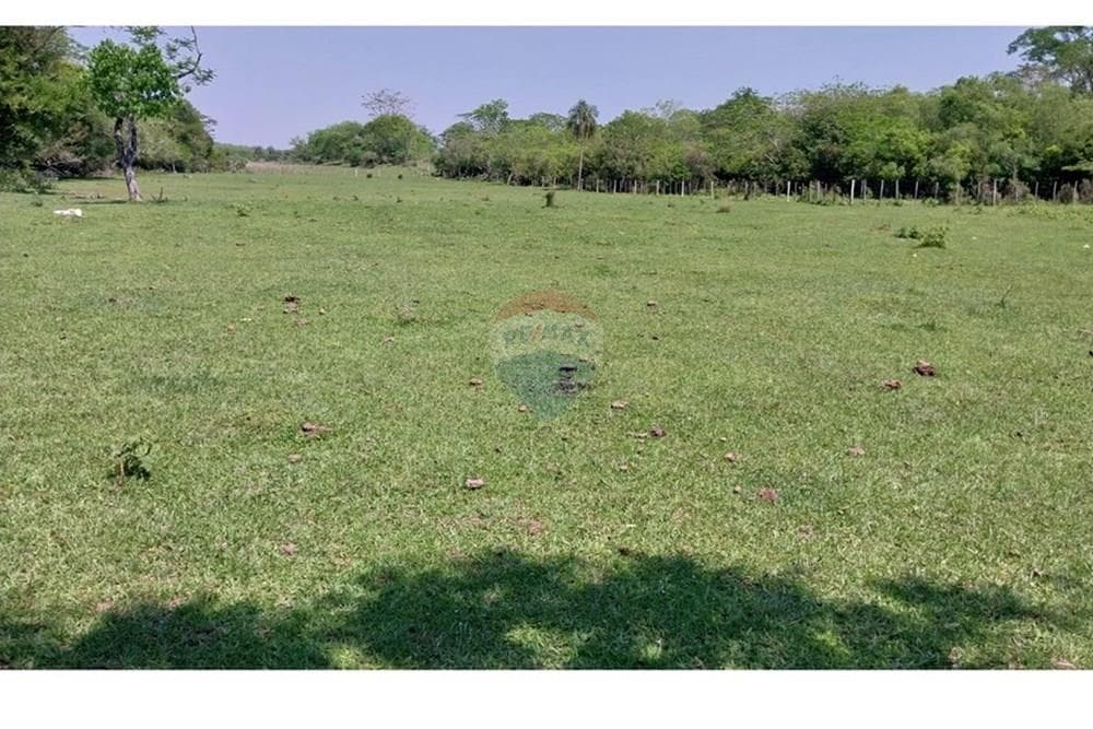Estancia Ganadera de 72 HA en Isla Pucú - A 80km de Asunción, foto 5