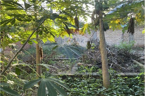 Terreno - Venta - Paraguay Central San Lorenzo, foto 3