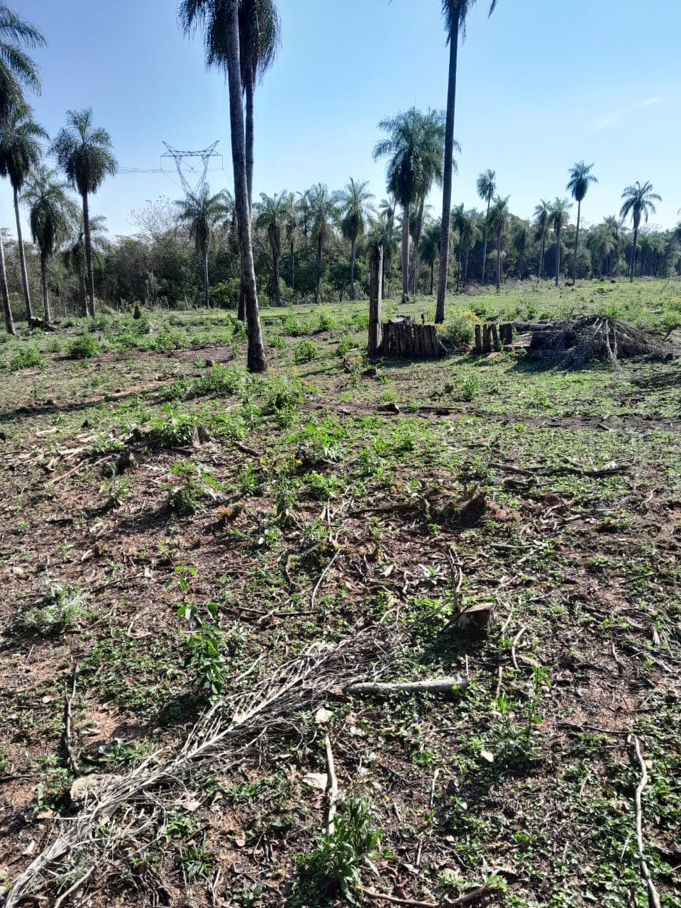 propiedad de 2 hectáreas en Atyra Ideal para granja, foto 2