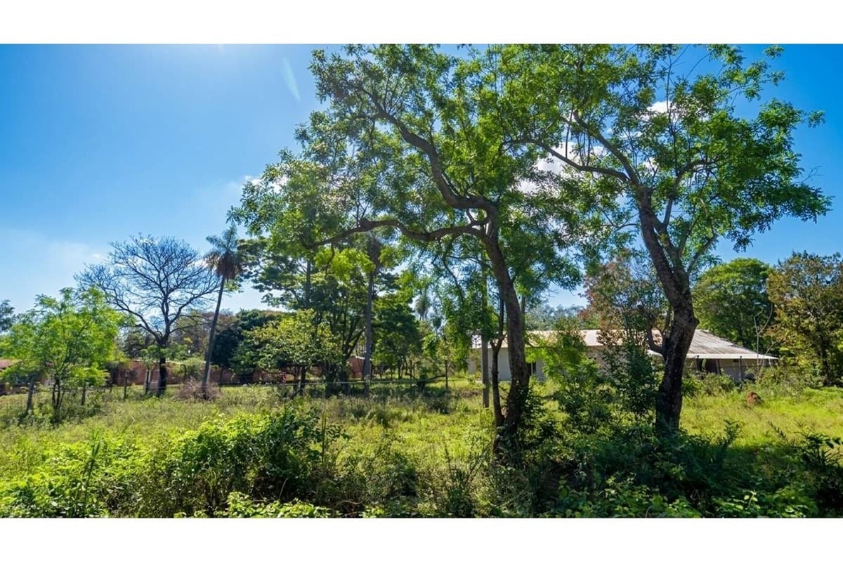 Terreno en itaugua - potrero — foto 2