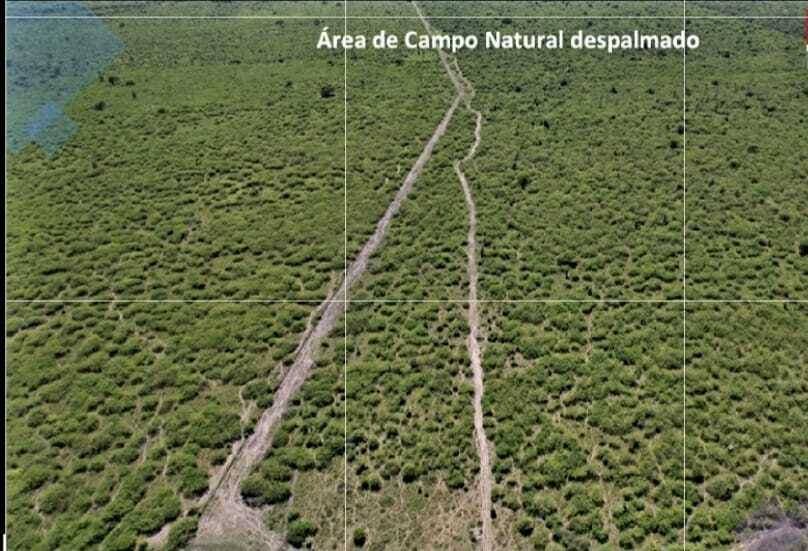 Estancia para actividad ganadera en ruta ñ - km 47, foto 5